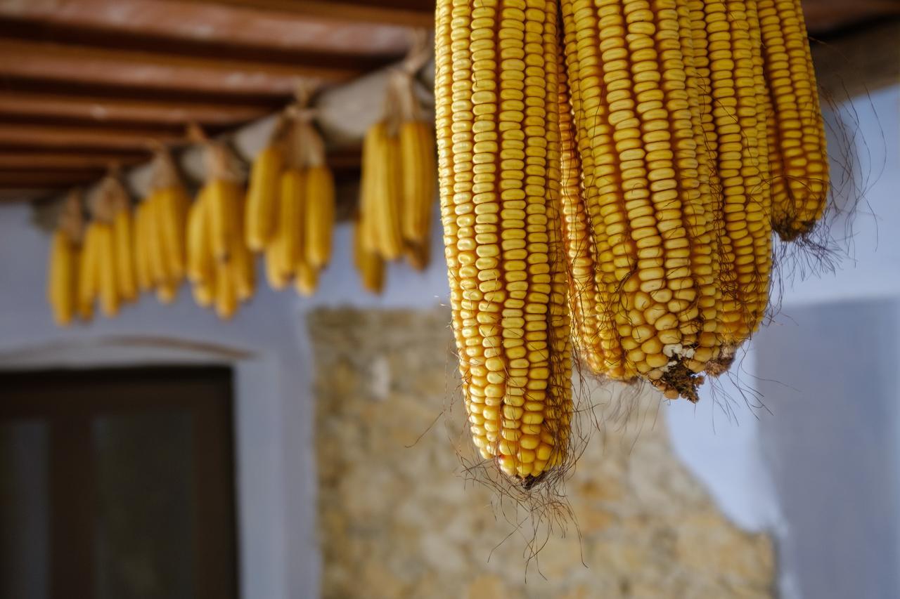 Els Masos D'En Coll Llaviá Exterior foto